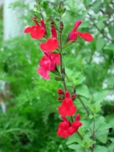 Name:  IMG_0060.jpg
Views: 689
Size:  28.9 KB