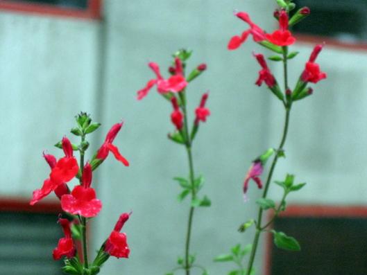 Name:  IMG_7114.jpg
Views: 681
Size:  22.3 KB