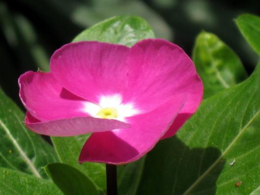 Name:  IMG_1263.jpg
Views: 629
Size:  22.4 KB