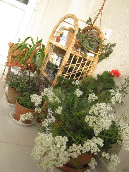 Name:  toplu.jpg
Views: 2161
Size:  41.5 KB