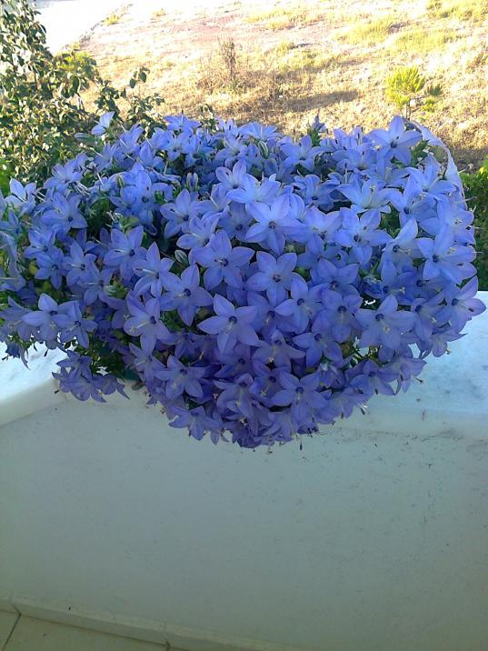 Name:  Fotoraf1384.jpg
Views: 680
Size:  73.2 KB