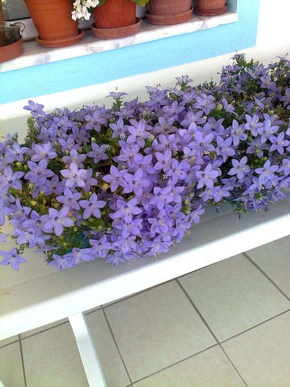 Name:  Fotoraf1370.jpg
Views: 693
Size:  73.4 KB