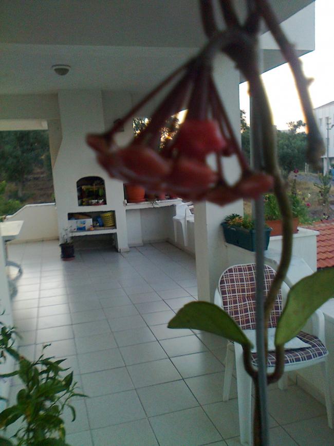 Name:  Fotoraf1197.jpg
Views: 675
Size:  62.5 KB