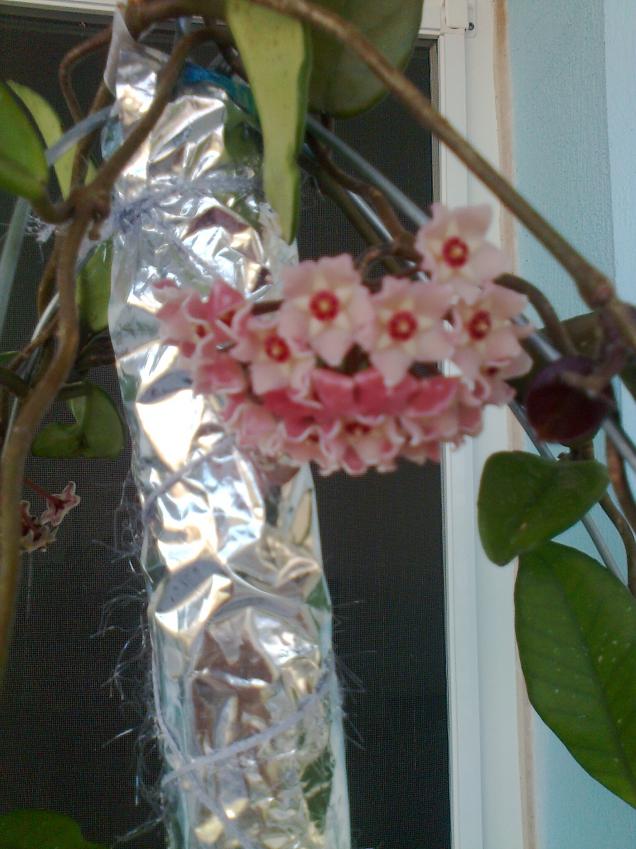 Name:  Fotoraf1386.jpg
Views: 688
Size:  70.5 KB