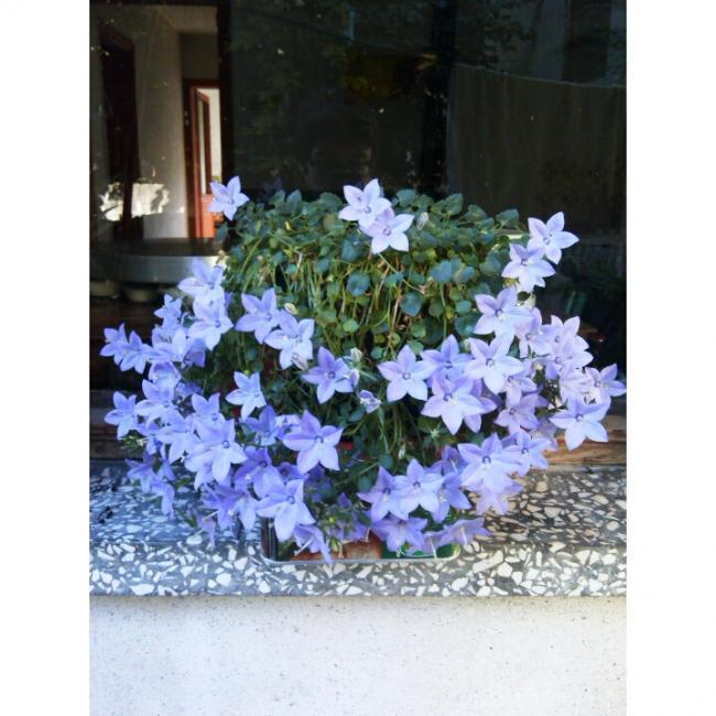 Name:  PhotoGrid_1405850874269.jpg
Views: 881
Size:  59.1 KB