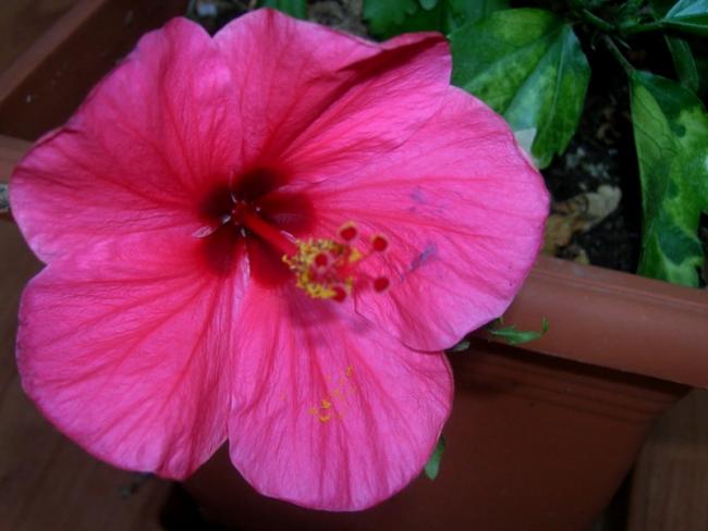 Name:  DSCN5518.jpg
Views: 880
Size:  35.2 KB