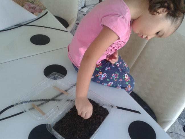 Name:  Ashampoo_Snap_2014.08.30_11h59m42s_003_.jpg
Views: 646
Size:  32.3 KB