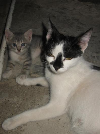 Name:  IMG_2338.jpg
Views: 600
Size:  23.4 KB