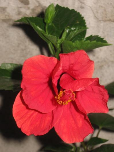 Name:  IMG_2644.jpg
Views: 792
Size:  24.6 KB