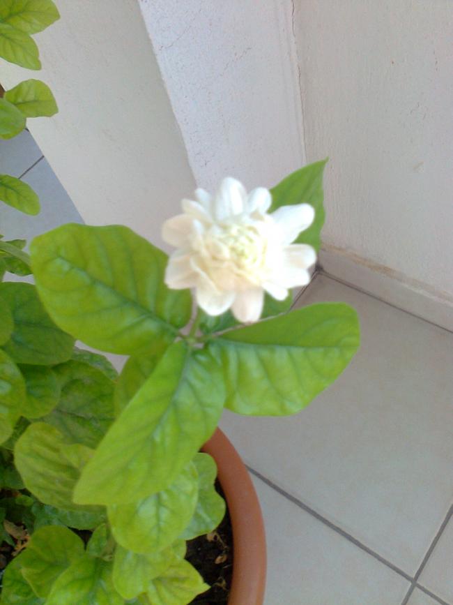 Name:  034.jpg
Views: 492
Size:  44.6 KB