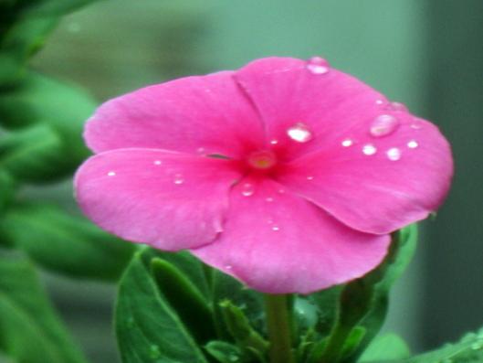 Name:  IMG_2766.jpg
Views: 779
Size:  19.9 KB