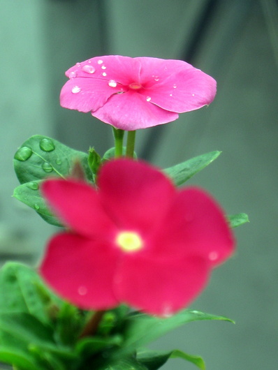 Name:  IMG_2771.JPG
Views: 796
Size:  67.1 KB