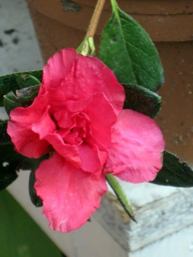 Name:  IMG_3313.jpg
Views: 869
Size:  24.5 KB