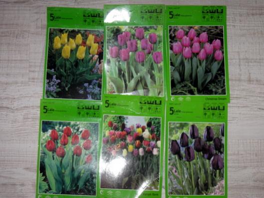 Name:  IMG_3505.jpg
Views: 716
Size:  39.2 KB