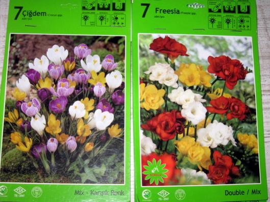 Name:  IMG_3530.jpg
Views: 892
Size:  47.0 KB