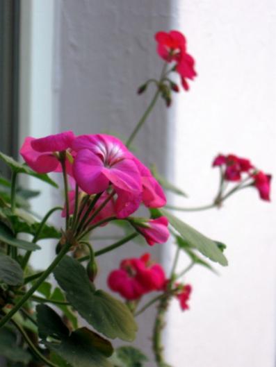 Name:  IMG_3504.jpg
Views: 688
Size:  21.5 KB
