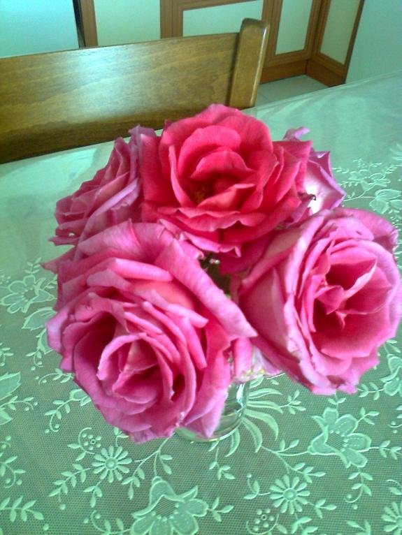 Name:  Fotoraf1817.jpg
Views: 458
Size:  72.3 KB