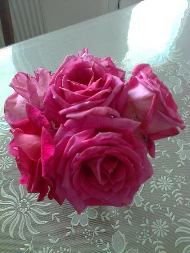 Name:  Fotoraf1814.jpg
Views: 469
Size:  70.6 KB