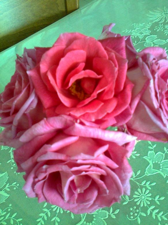 Name:  Fotoraf1816.jpg
Views: 466
Size:  72.4 KB