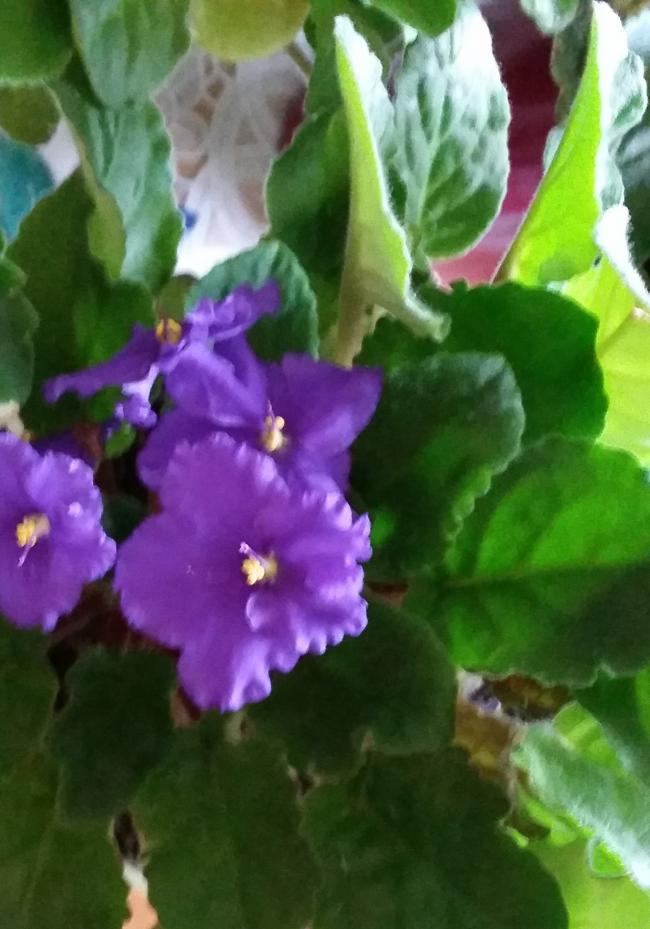Name:  20141031_074836.jpg
Views: 325
Size:  64.8 KB