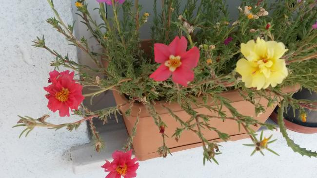 Name:  20140824_142157.jpg
Views: 1964
Size:  42.6 KB