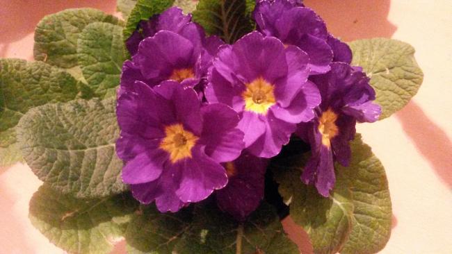 Name:  20150223_200643.jpg
Views: 798
Size:  38.4 KB