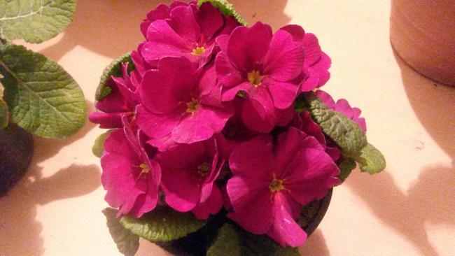 Name:  20150223_200708.jpg
Views: 774
Size:  34.8 KB