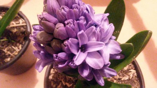 Name:  20150223_200939.jpg
Views: 764
Size:  38.6 KB