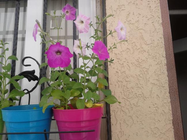 Name:  Fotoraf-0116.jpg
Views: 701
Size:  50.8 KB