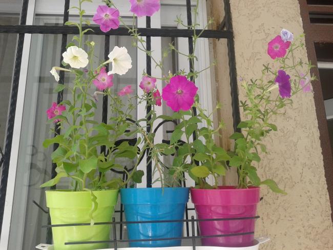 Name:  Fotoraf-0148.jpg
Views: 624
Size:  54.7 KB