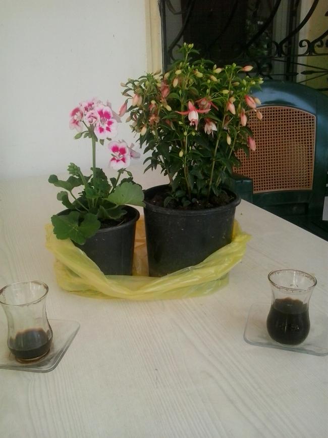 Name:  20140625_160903.jpg
Views: 875
Size:  61.4 KB