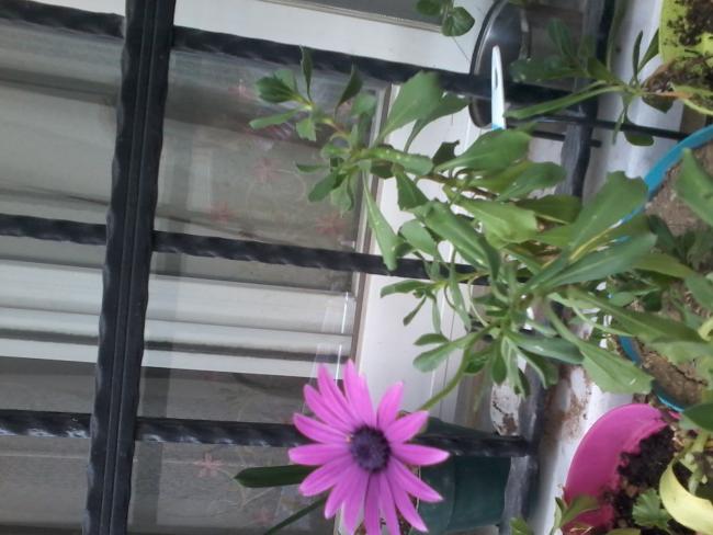Name:  20150310_151420.jpg
Views: 898
Size:  44.9 KB