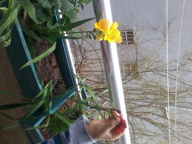 Name:  2015-03-12 13.40.13.jpg
Views: 554
Size:  58.9 KB