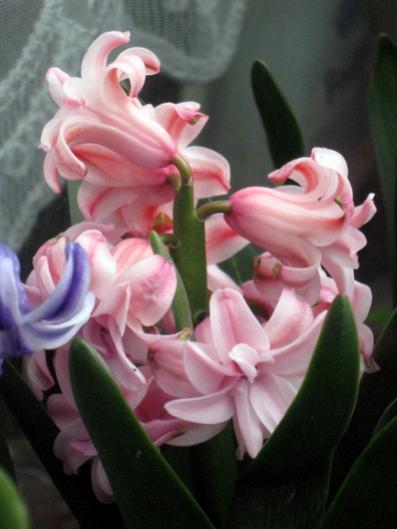 Name:  IMG_4190.jpg
Views: 939
Size:  26.9 KB