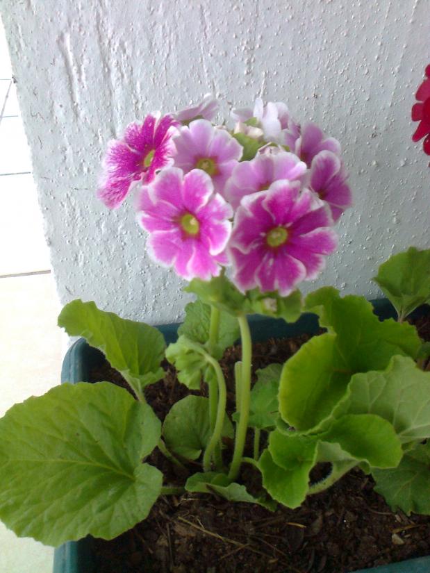 Name:  Fotoraf2054.jpg
Views: 554
Size:  71.0 KB