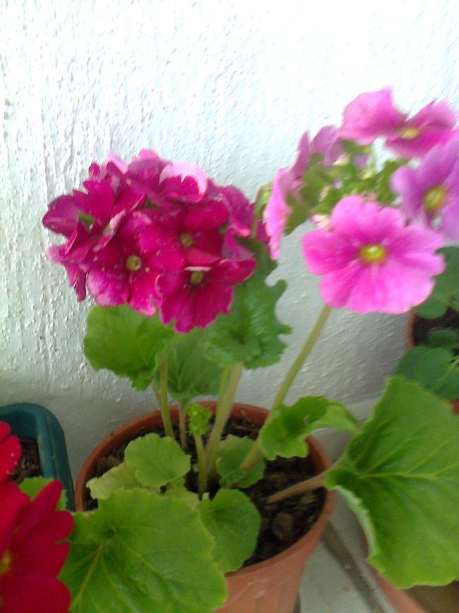 Name:  Fotoraf2056.jpg
Views: 541
Size:  63.3 KB