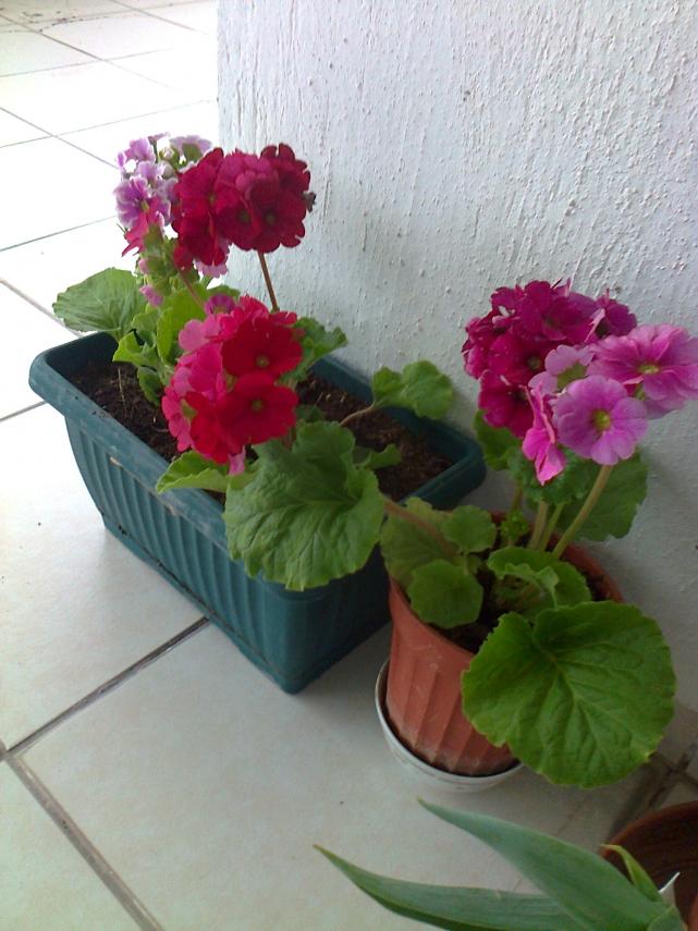 Name:  Fotoraf2057.jpg
Views: 563
Size:  70.4 KB