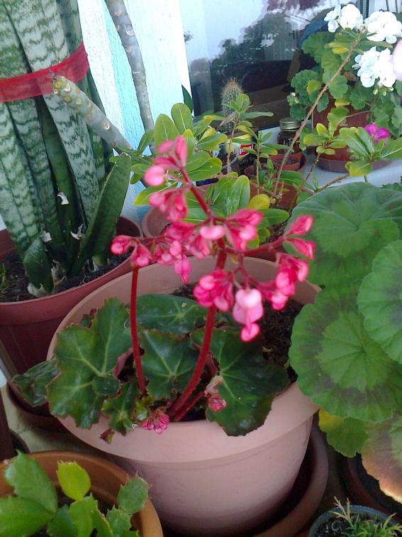 Name:  Fotoraf2065.jpg
Views: 705
Size:  73.1 KB