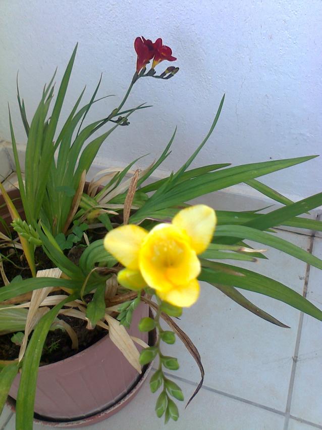 Name:  Fotoraf2073.jpg
Views: 635
Size:  70.3 KB