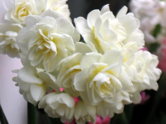 Name:  IMG_4309.jpg
Views: 602
Size:  22.9 KB