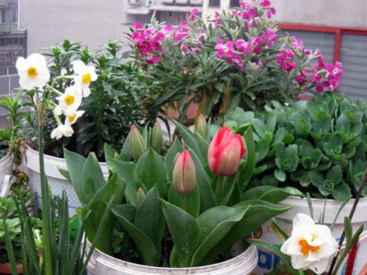Name:  IMG_4359.jpg
Views: 546
Size:  43.6 KB
