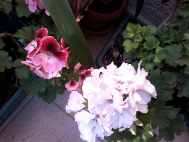 Name:  20150404_180450.jpg
Views: 335
Size:  41.4 KB