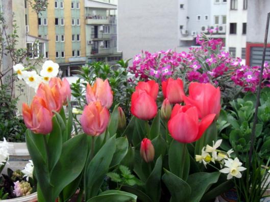 Name:  IMG_4374.jpg
Views: 646
Size:  40.4 KB