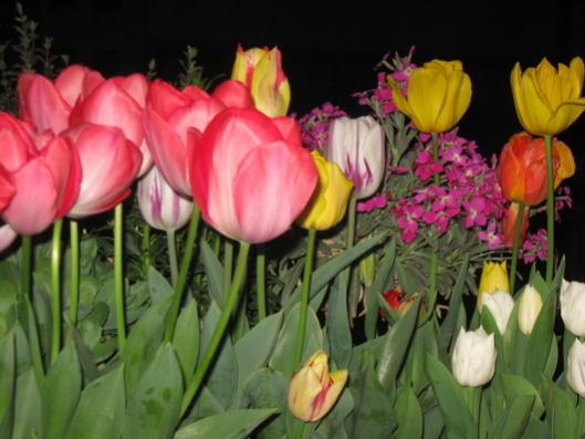 Name:  IMG_4644.jpg
Views: 742
Size:  33.9 KB