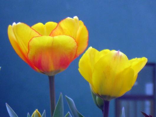 Name:  IMG_4608.jpg
Views: 948
Size:  18.5 KB