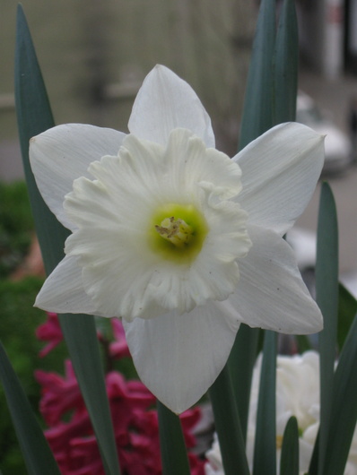 Name:  IMG_4397.JPG
Views: 1011
Size:  63.0 KB