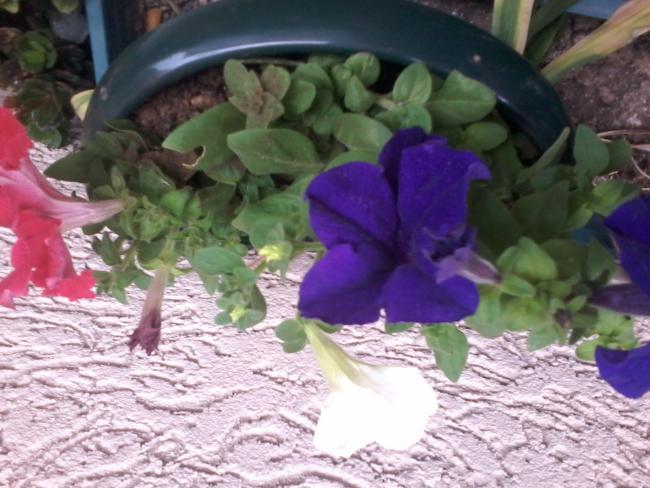 Name:  20150421_090157.jpg
Views: 241
Size:  51.4 KB