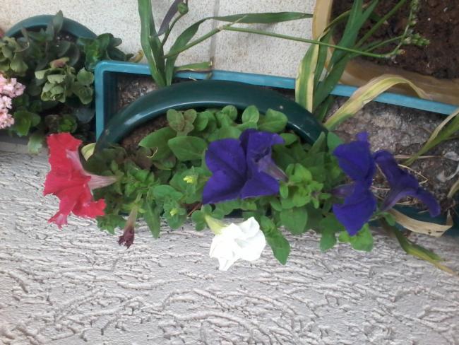 Name:  20150421_090131.jpg
Views: 247
Size:  59.7 KB