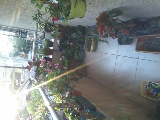 Name:  IMG-20150422-WA0002.jpg
Views: 230
Size:  47.7 KB
