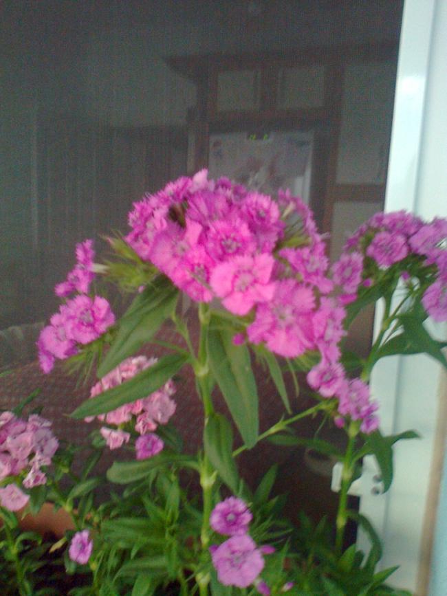 Name:  Fotoraf2508.jpg
Views: 679
Size:  68.4 KB